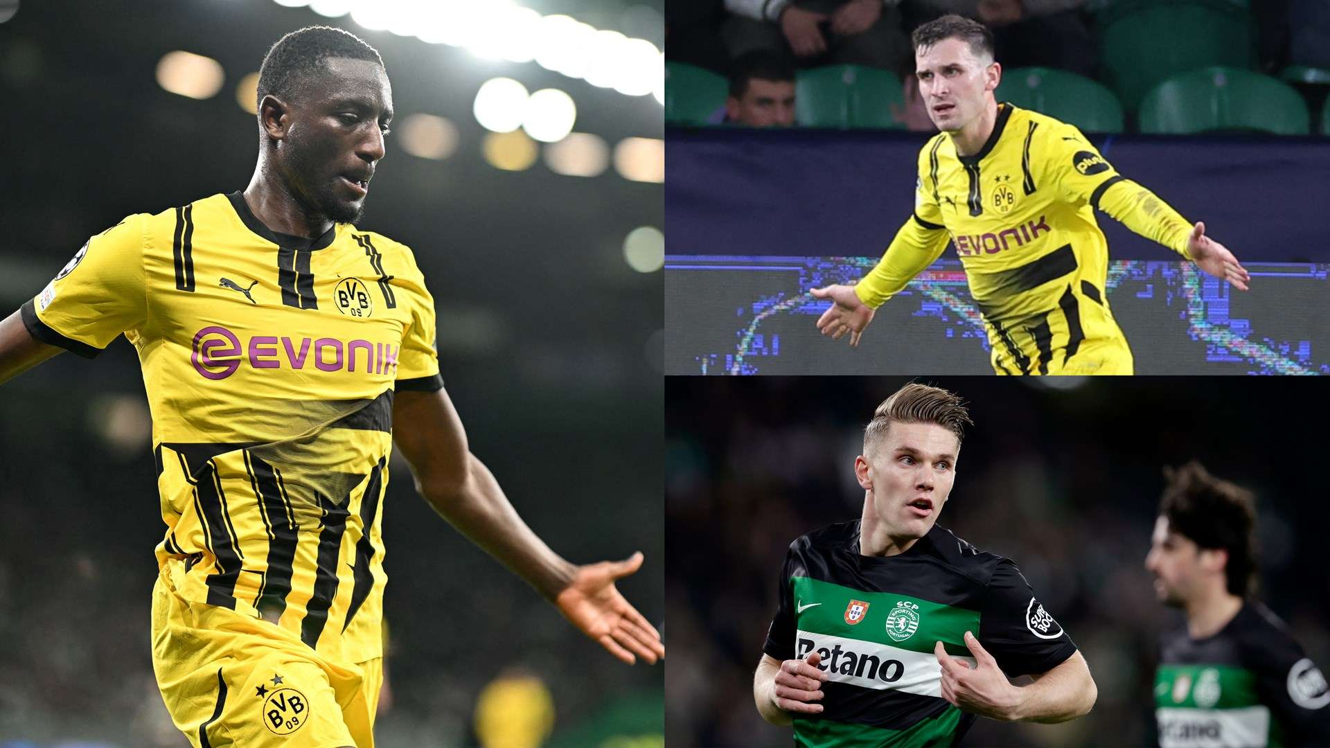 不仅需要优 不仅需要优